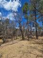 36282 Lodgepole Trace - Photo 22