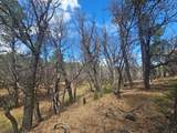 36282 Lodgepole Trace - Photo 23