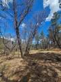36282 Lodgepole Trace - Photo 24