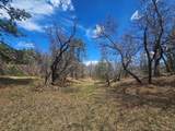 36282 Lodgepole Trace - Photo 25