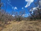 36282 Lodgepole Trace - Photo 26