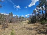 36282 Lodgepole Trace - Photo 27