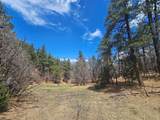 36282 Lodgepole Trace - Photo 29