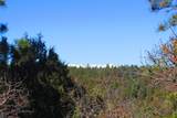 36282 Lodgepole Trace - Photo 3