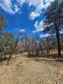 36282 Lodgepole Trace - Photo 30
