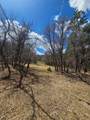 36282 Lodgepole Trace - Photo 31