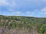 36282 Lodgepole Trace - Photo 32