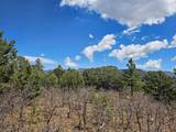36282 Lodgepole Trace - Photo 33