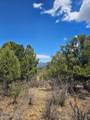 36282 Lodgepole Trace - Photo 35