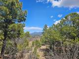 36282 Lodgepole Trace - Photo 36