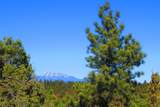 36282 Lodgepole Trace - Photo 4