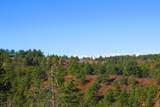 36282 Lodgepole Trace - Photo 5