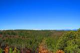 36282 Lodgepole Trace - Photo 6