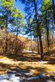 36282 Lodgepole Trace - Photo 7