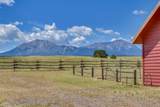 4505 Mountain View Trail - Photo 11