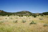 33563 Co Rd 53.7 - Photo 1