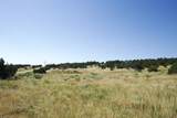 33563 Co Rd 53.7 - Photo 14