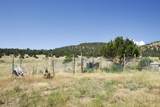 33563 Co Rd 53.7 - Photo 16