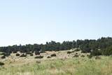 33563 Co Rd 53.7 - Photo 17