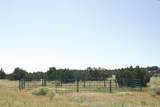 33563 Co Rd 53.7 - Photo 4
