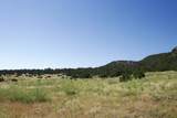 33563 Co Rd 53.7 - Photo 5