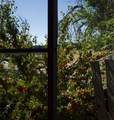 33563 Co Rd 53.7 - Photo 51