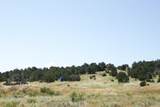 33563 Co Rd 53.7 - Photo 7