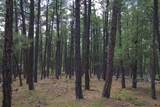 000 Cirrus Way - Photo 20