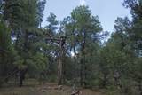 000 Cirrus Way - Photo 21