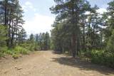 000 Cirrus Way - Photo 28