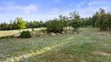 15915 County Rd 35 - Photo 39