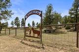 15915 County Rd 35 - Photo 43