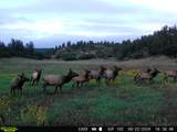 15915 County Rd 35 - Photo 44