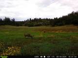 15915 County Rd 35 - Photo 46