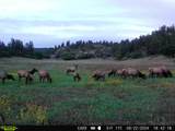15915 County Rd 35 - Photo 47