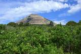 Lot 7 Tres Valles - Photo 11