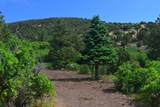 Lot 7 Tres Valles - Photo 12