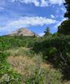 Lot 7 Tres Valles - Photo 17
