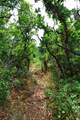Lot 7 Tres Valles - Photo 24