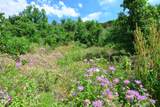 Lot 7 Tres Valles - Photo 25