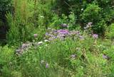 Lot 7 Tres Valles - Photo 27