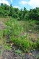 Lot 7 Tres Valles - Photo 29