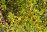 Lot 7 Tres Valles - Photo 31