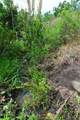 Lot 7 Tres Valles - Photo 32