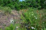 Lot 7 Tres Valles - Photo 33