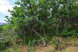 Lot 7 Tres Valles - Photo 36
