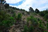 Lot 7 Tres Valles - Photo 37
