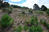 Lot 7 Tres Valles - Photo 38