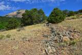 Lot 7 Tres Valles - Photo 39