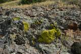 Lot 7 Tres Valles - Photo 42